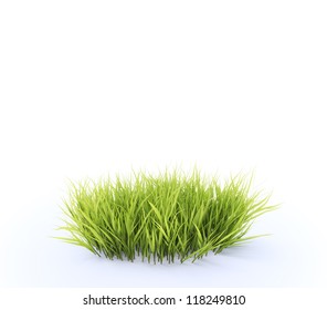 Small, Round Patch Of Fresh Grass