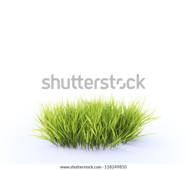 新鮮な草の小さな丸い一帯 のイラスト素材