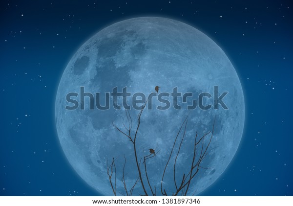 Small silhouette birds on branch of tree with\
big moon\
background.