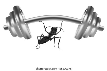 Small Strong Black Ant Lifting Heavy Weight Dumbbell Doing Workout In Gym Body Building