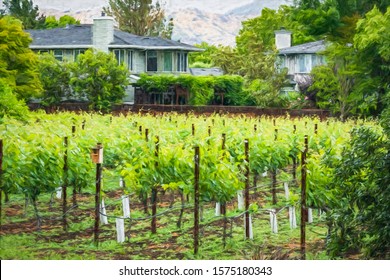 Small Vineyard Behind Houses With Abundant Greenery In Outskirts Of Town In Sonoma County, California, USA, With Digital Painting Effect, For Agricultural, Viticultural, And Environmental Themes