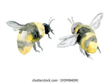 small watercolor realistic bees isolated on white