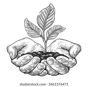 Small young plant seedling in hands. Hands holding and caring growing sprout with leaves - Powered by Shutterstock