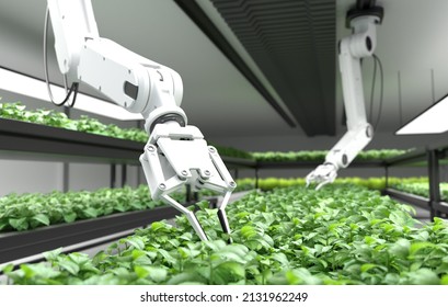 Smart Robotic Farmers Concept, Robot Farmers, Agriculture Technology, Farm Automation. 3D Illustration