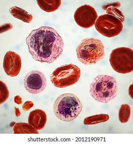 3,139 Basophil Images, Stock Photos & Vectors | Shutterstock