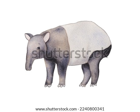 Smiling malayan tapir hand painted in watercolour in a side profile and on a white background
