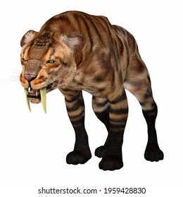 57 Smilodon Fatalis Images, Stock Photos & Vectors | Shutterstock