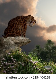 Smilodon, the saber-toothed cat, sits atop a pile of boulders at the top of a grassy hill covered in wild flowers.  He turns in profile to show you his wicked teeth. 3D Rendering