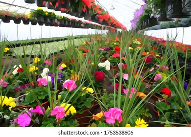 SMITHFIELD, PENNSYLVANIA, UNITED STATES - May 02, 2014: Colorful Illustrations / Digital Paintings Of Greenhouse Flowers Signaling The Arrival Of Spring.
