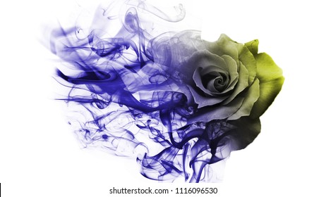 Similar Images, Stock Photos & Vectors of Smoke rose from - 1116082820 ...