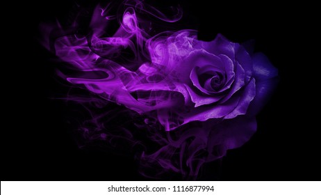 Fire Rose Images Stock Photos Vectors Shutterstock