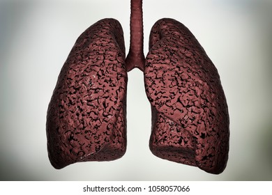 206 Rotten Organs Images, Stock Photos & Vectors | Shutterstock