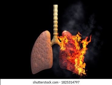 5,282 Lungs fired Images, Stock Photos & Vectors | Shutterstock