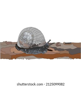 The snail crawls through the tree directly at the viewer. Side View. Illustration.