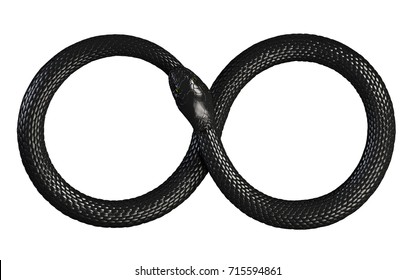 Snake Eating Its Own Tail. Infinite Symbol. 3D illustration