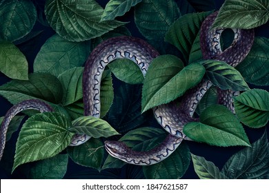 Snake On A Leafy Background