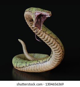 Snake With An Open Mouth.3d Illustration