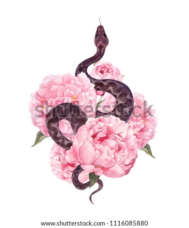 Snake and pink flowers. Watercolor