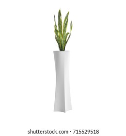 Snake Plant Potted Plant Isolated On White Background. 3D Rendering, Illustration.