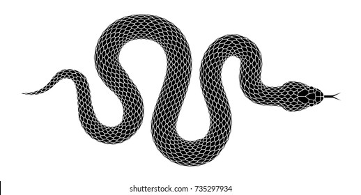 Snake silhouette illustration. Black serpent isolated on a white background. Tattoo design.