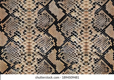 Snake Skin Pattern Animal Leather Design Seamless Elegance 