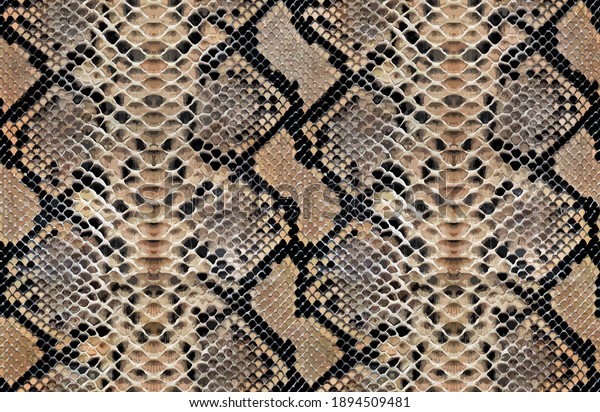 Snake skin pattern animal leather design seamless\
elegance 