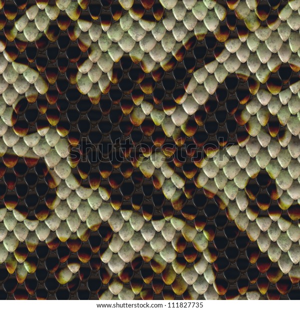 snake skin pattern\
background
