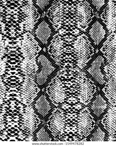 Snake Skin Pattern Seamless Print Snake Stock Illustration 1549478282