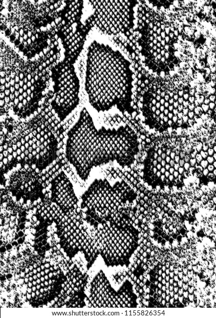 
Snake skin pattern texture repeating
seamless monochrome black and white. . Texture snake. Fashionable
print. Fashion and stylish
background