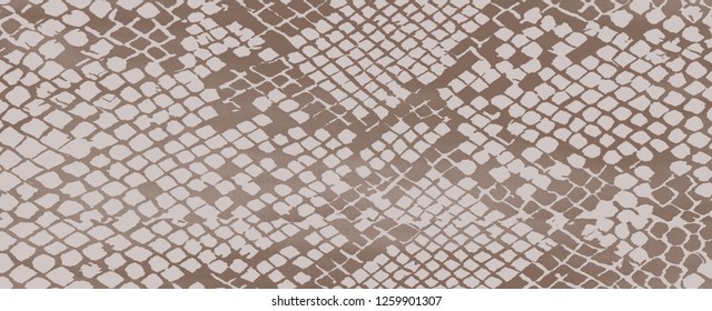 Snake Skin Print With Fading Background