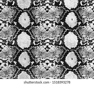 17,297 Grey Snake Skin Images, Stock Photos & Vectors | Shutterstock