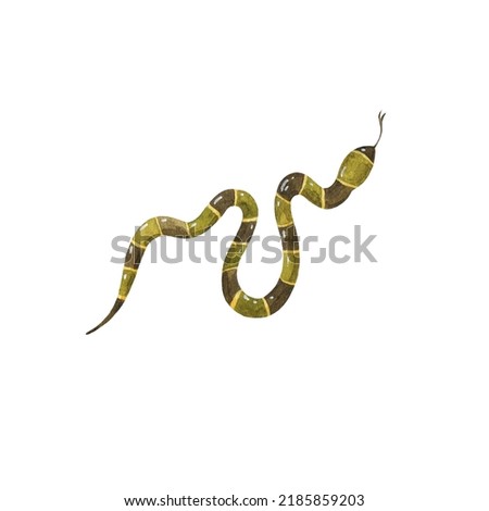 Snake. Watercolor hand-drawn illustration. Isolated object on a white background. Perfect for your design.