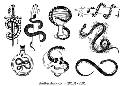 Snakes tattoo  Occult snake wrapped around hand  skull  dagger  bowl   poison  Serpent silhouette in flowers  Mystical tattoos  set  Illustration tattoo snake  symbol occult