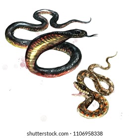 67,735 Snake watercolor Images, Stock Photos & Vectors | Shutterstock