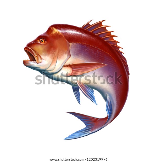 Illustration De Stock De Snapper Grand Poisson Rouge Sur Fond 1202319976