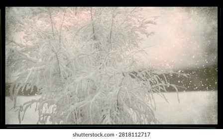 Snow covered tree branches capturing the enchanting beauty of a frozen winter forest