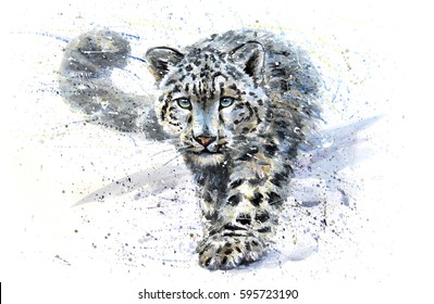 Snow leopard animals watercolor predator wildlife