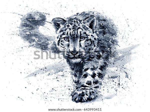 Snow Leopard Black White Stock Illustration