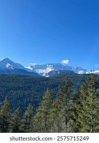 Snow-Capped Mountain Range and Dense Forest Under Clear Blue Sky
