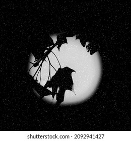 Snowfall black   white abstract background and maple tree leaves silhouette against night sky   moon 
