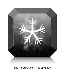 Snowflake icon, black website button on white background.