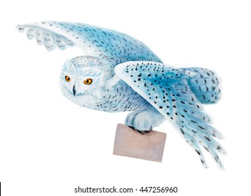 Snowy Owl Flying On White Background.