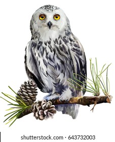 Snowy owl sitting on a branch