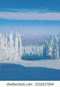 Snowy Trees Above The Coulds.