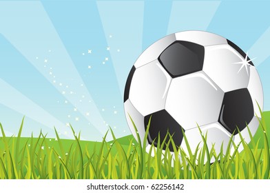 Sky View Soccer Border Sun On Stock Vector (Royalty Free) 1978901900 ...