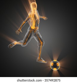 Soccer Player Bones Radiography Stock Illustration 357492875 | Shutterstock