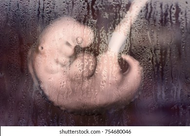 Social awareness concept against abortion. 3D illustration showing 4-week human embryo behind window glass with rain condensation illustrating post-abortion depression