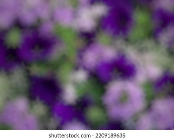 Soft blurred background with gradient graphics for illustration.