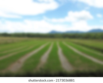 14,984 Agriculture gradient background Images, Stock Photos & Vectors ...