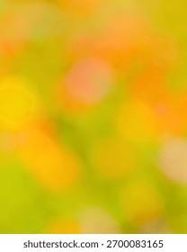 A soft focus, impressionistic view of a field filled with vibrant yellow and orange blooms, bathed in warm sunlight.